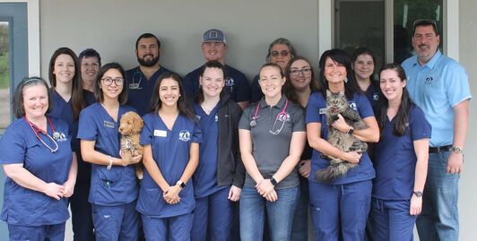 Kings Highway Animal Clinic - Veterinary Clinic in San Marcos, TX