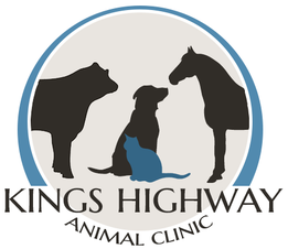 Kings Highway Animal Clinic - Veterinary Clinic in San Marcos, TX